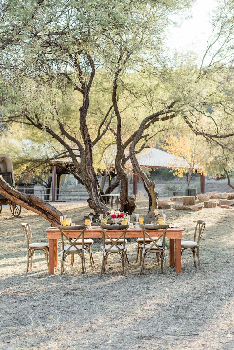 Banquet Table Set In Sunny Rural Yard