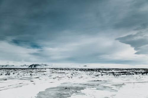 açık hava, alan, arazi içeren Ücretsiz stok fotoğraf