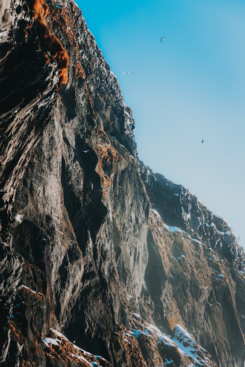 가파른, 거대한, 경치의 무료 스톡 사진