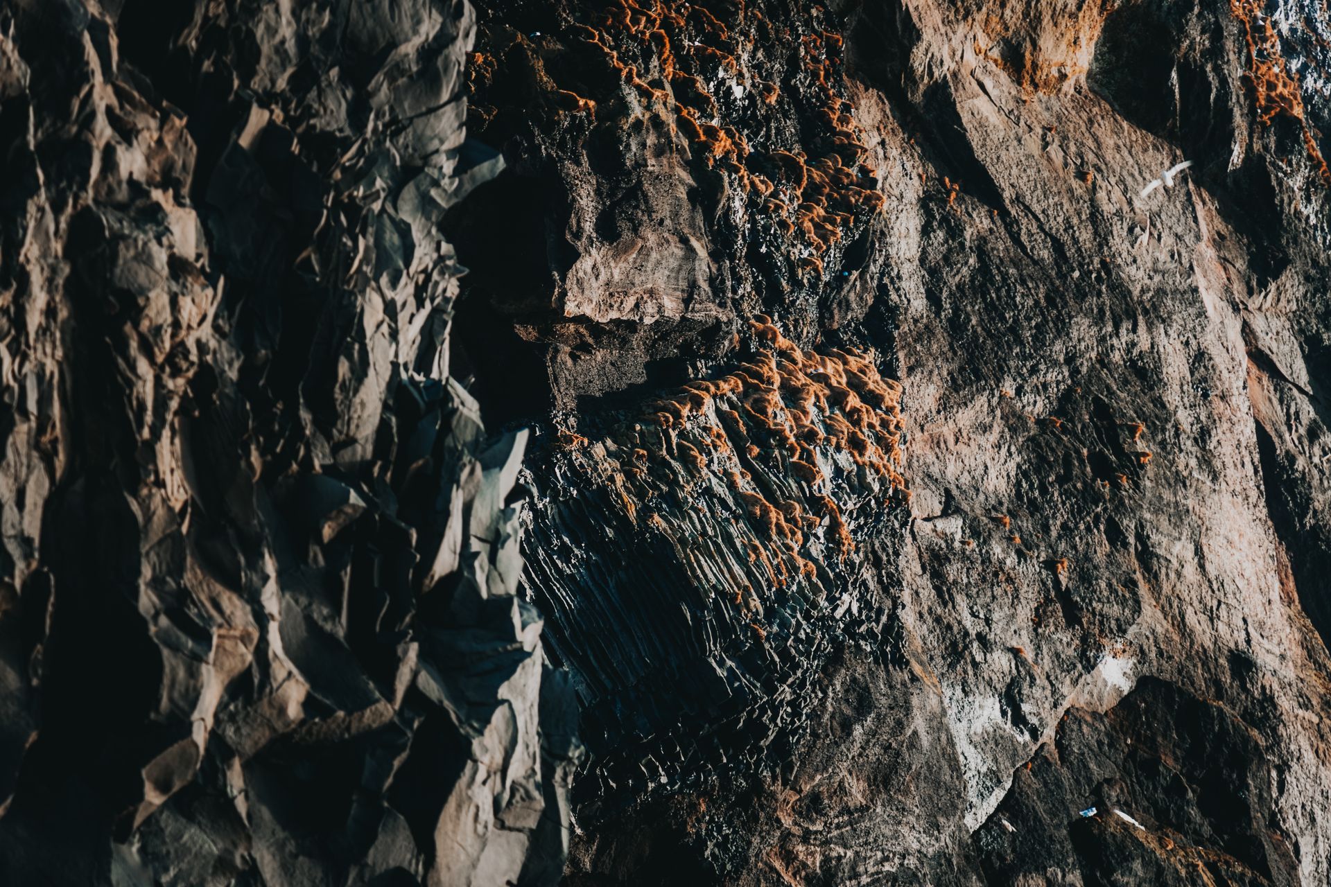 A striking close-up of a textured rock formation showcasing layers and natural erosion.