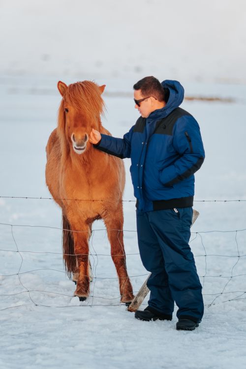 Free Full length of man in warm clothes stroking calm chestnut horse behind wire fence in snowy terrain Stock Photo