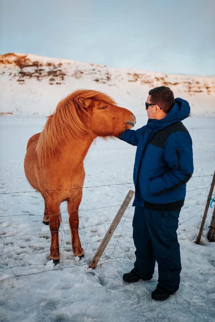 Man Stroking Horse In Winter Paddock