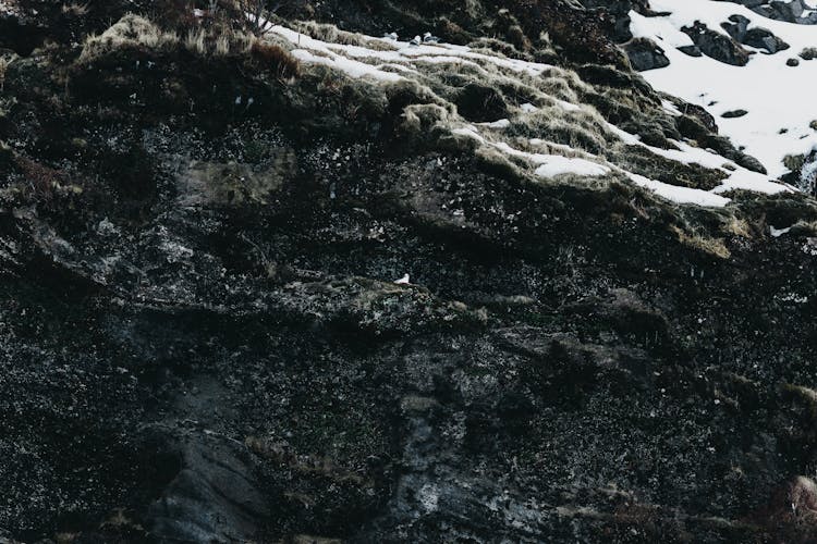 Black Rough Surface Of Mountain Slope