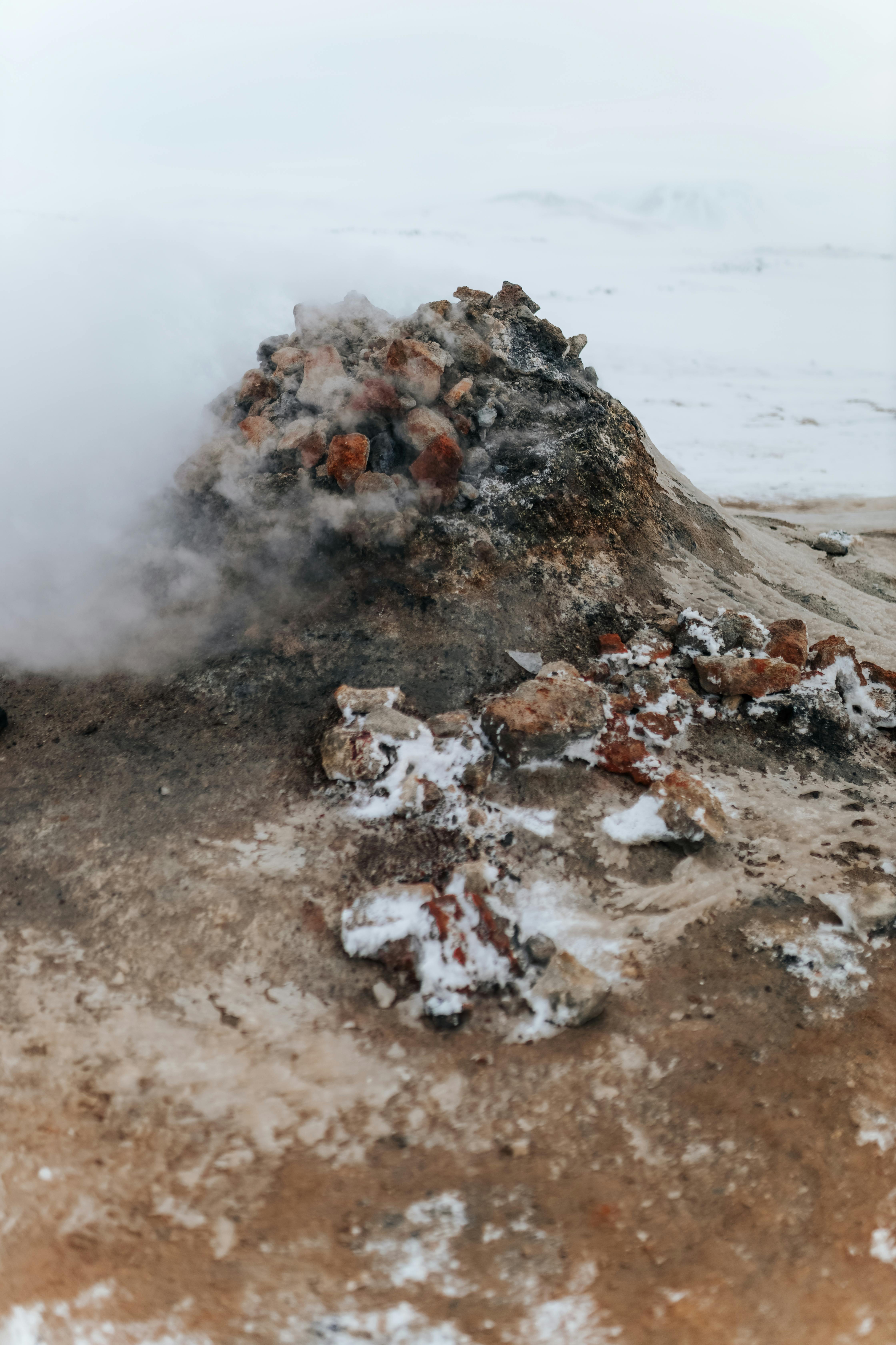 Photo by Matheus Bertelli