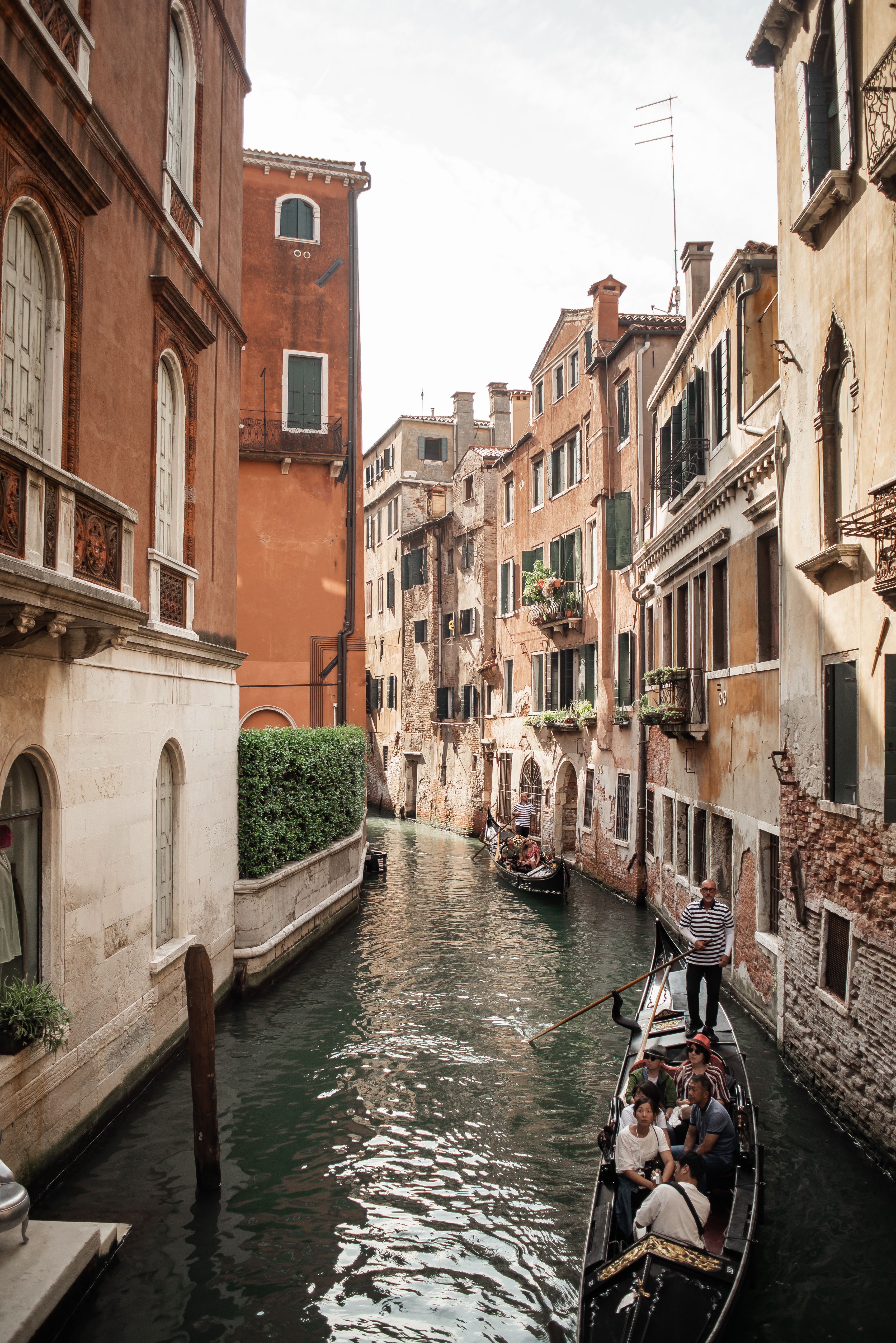 2,000+ Best Italy Photos · 100% Free Download · Pexels Stock Photos
