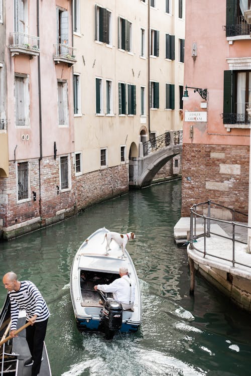 Full body faceless gondoliers floating with cute dog along old narrow Venice buildings during summer day