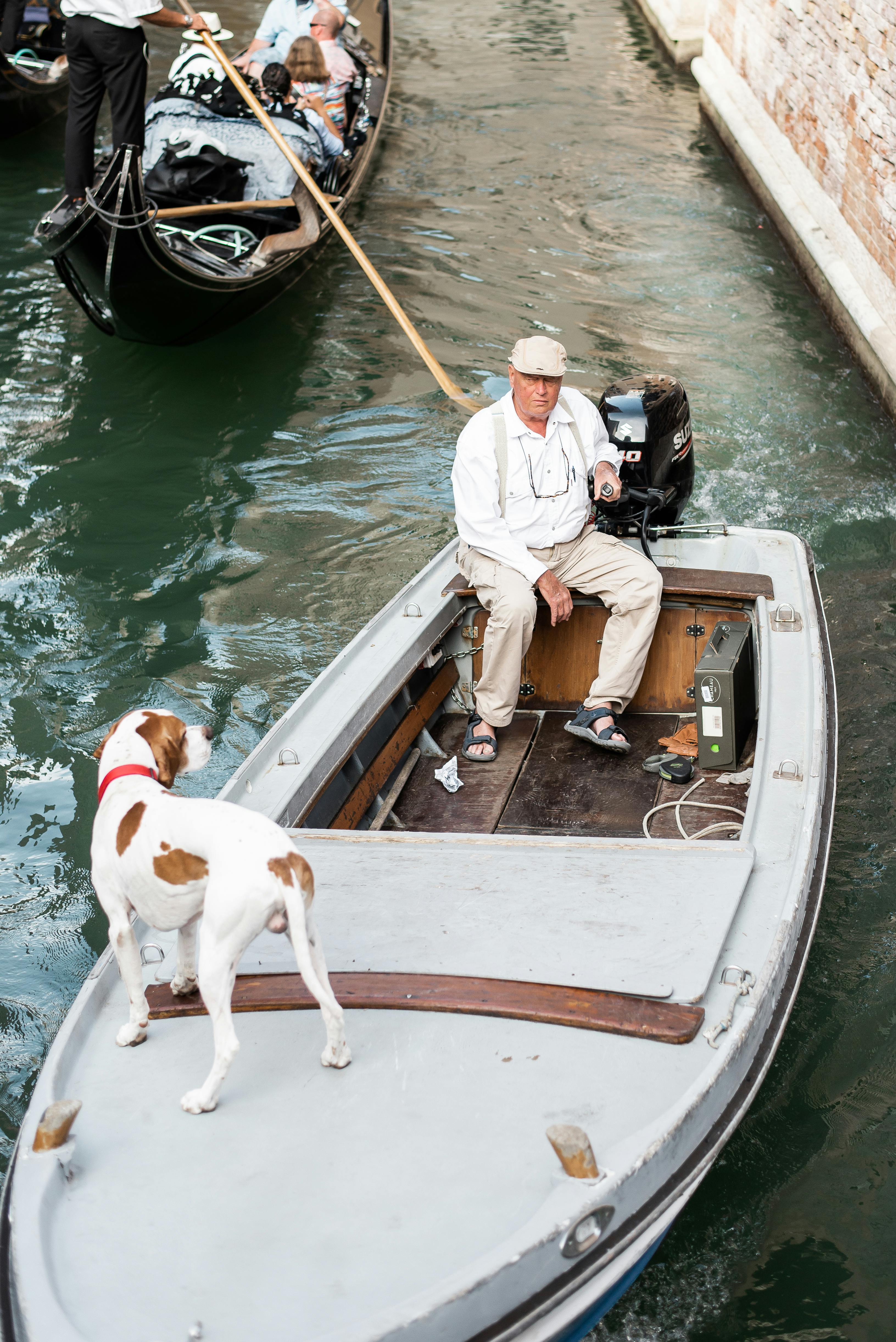 Why is my old dog barking at nothing?