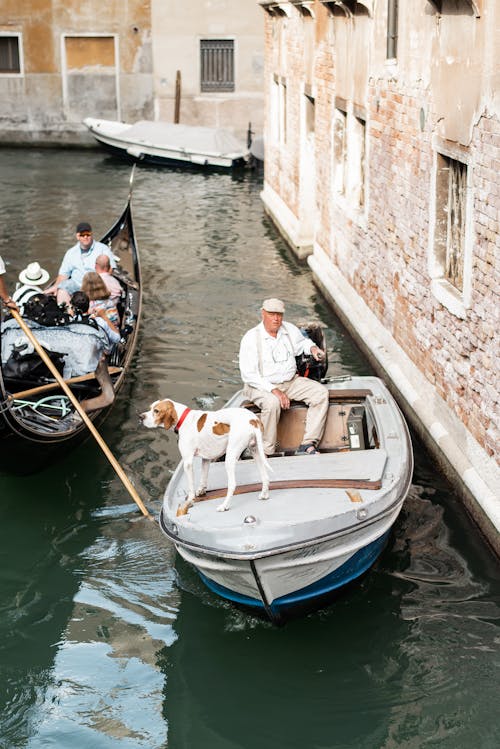 Free Gondolas with tourists and cute dog floating on city canal water near weathered brick buildings walls on sunny day Stock Photo