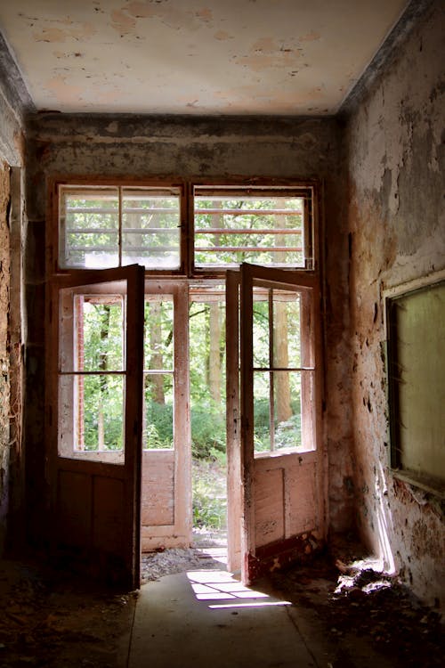 Aged house interior with weathered walls and open doors near growing trees in sunlight