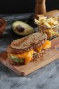 From above of yummy sandwich with crispy bread loafs and bright cheddar cheese near avocado and French fries