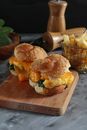 From above of appetizing burgers with golden buns and melted cheddar cheese for lunch