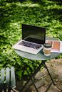 From above of modern laptop placed on round table near documents and cup of takeaway coffee in green park