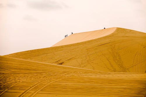 Immagine gratuita di alba, attraente, avventura