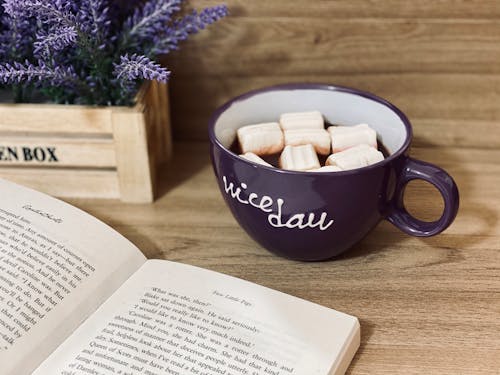 Free Cup of hot chocolate with marshmallows near textbook Stock Photo