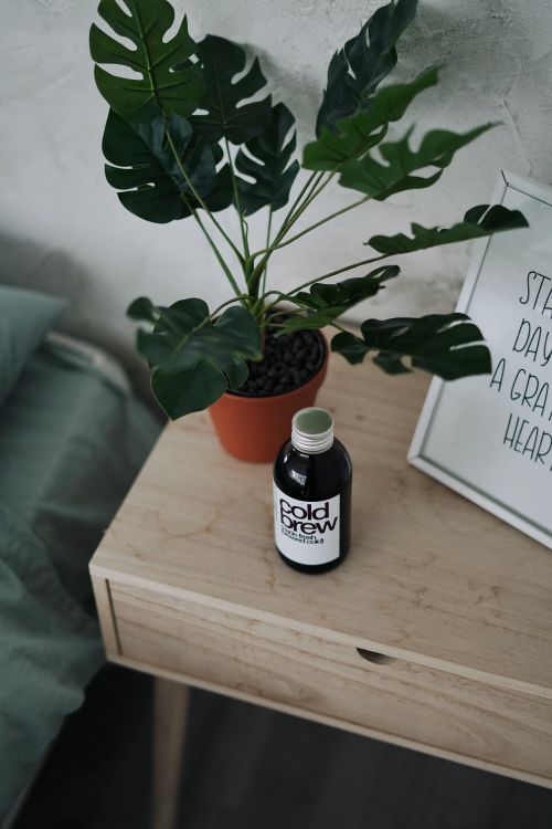 Free Cold brew coffee bottle on a wooden table with a potted plant for a minimalistic lifestyle. Stock Photo