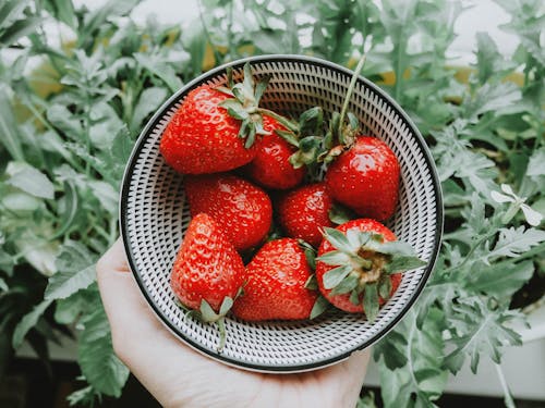 Strawberries in a Bowl