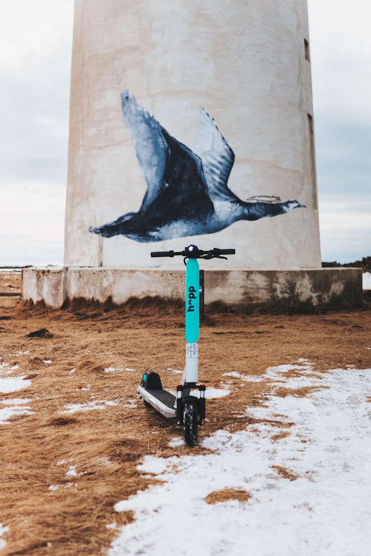 A Bird Flying Over A Scooter Trolley