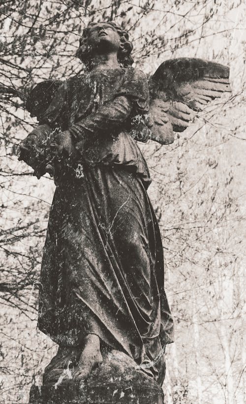 Free An Angel Statue in Black and White Photo Stock Photo