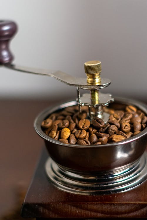 Coffee Beans in Stainless Bowl of a Coffee Grinder