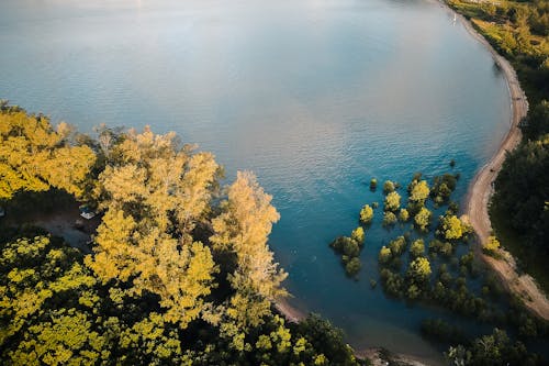 Green trees growing near picturesque lake with turquoise water