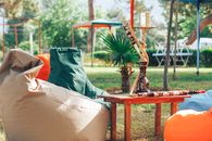 Comfortable soft bean bags placed on lawn near wooden table with hookah in green park on sunny day