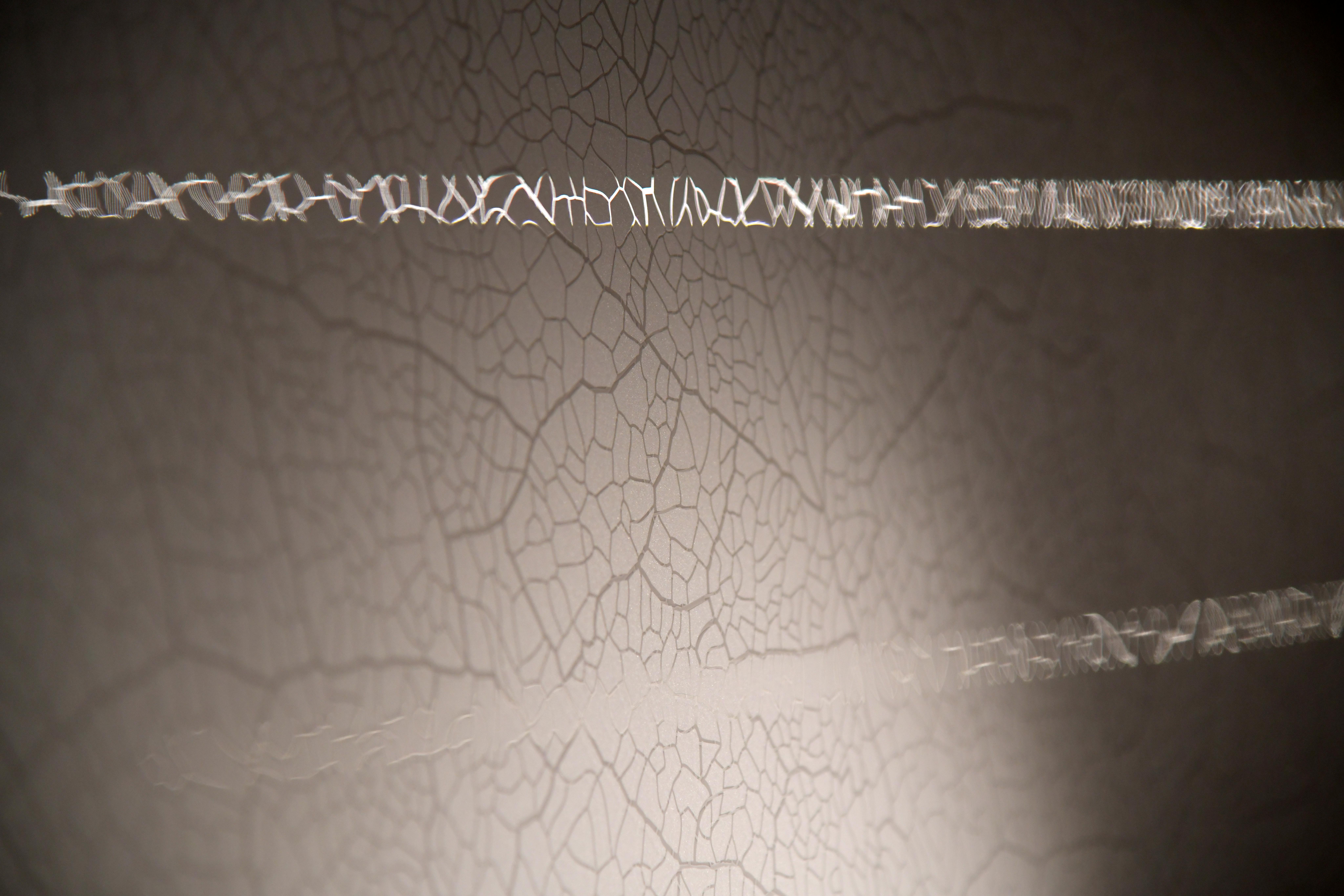 Free stock photo of light effects, texture