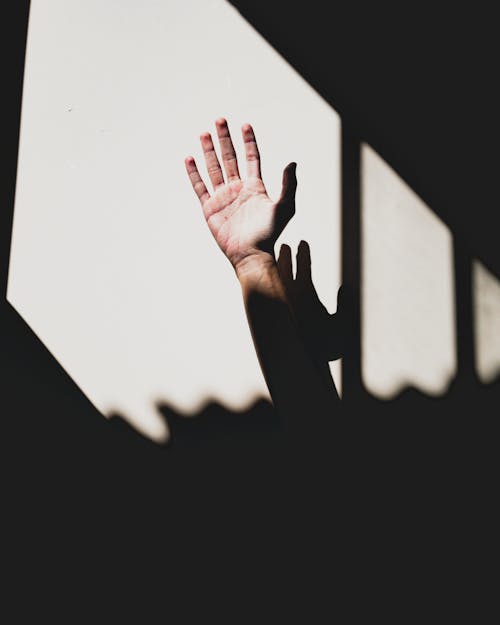 A Person Raised Hand 
