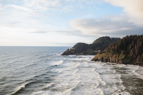 Light blue sky covered with clouds above woodland on hills on shore of endless wavy ocean