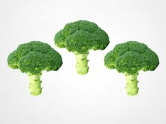 Broccoli florets — Sixpath Of Dewa on Pexels