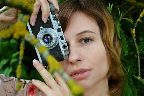 Free Glad female with retro camera standing near green twigs of blooming tree while taking photo of nature in summer day Stock Photo