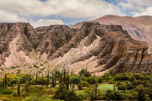 Rocky mountains and green vegetation in wild valley