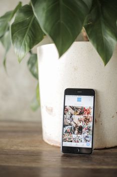 A smartphone with social media app open rests against a pot with large leaves in a minimalist setting.