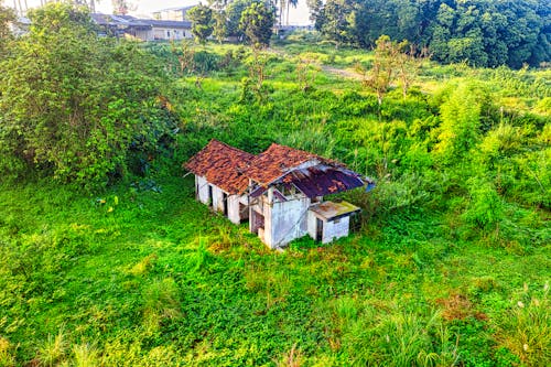 Brown Wooden House on Green Grass Field