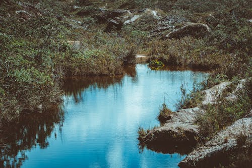 Fotobanka s bezplatnými fotkami na tému breh, dedinský, denné svetlo