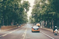 A Road in Between Trees
