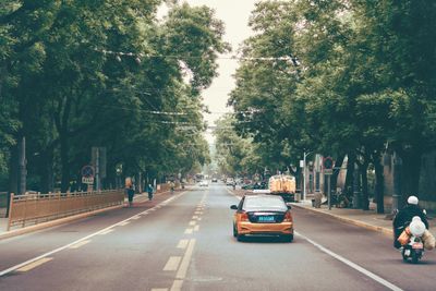 Swarm Intelligence for Autonomous Robotaxi Fleet Optimization