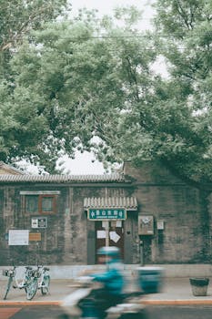 一个模糊的骑自行车的人，经过绿树成荫的街道旁的传统北京建筑