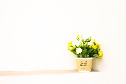 Free Bright minimalist setup featuring a decorative artificial plant in a pot against a neutral wall. Stock Photo