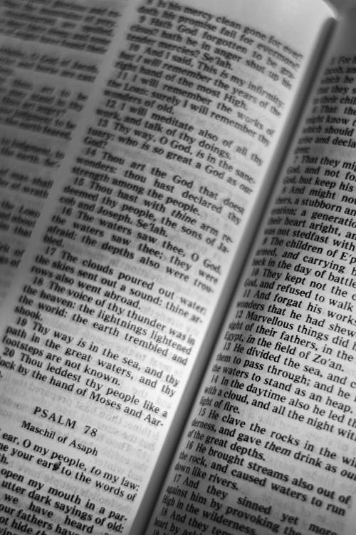 Close Up of a Bible