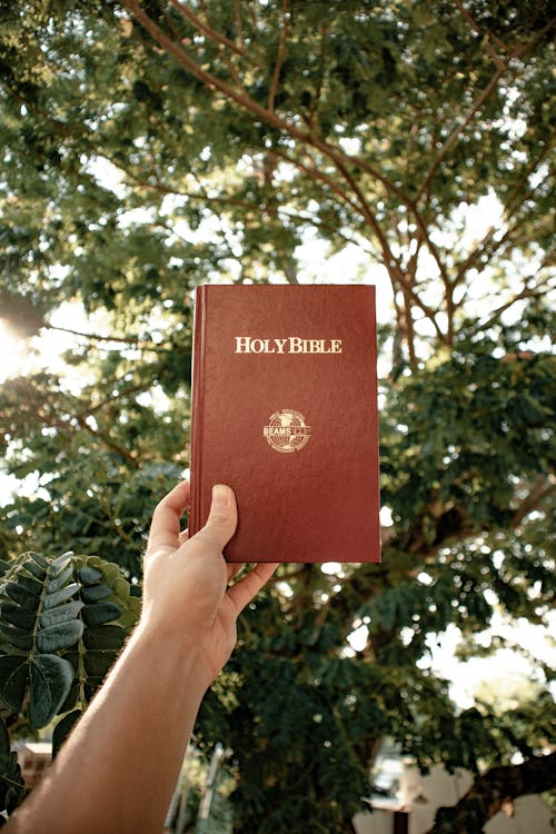 Free Person Holding a Bible Stock Photo