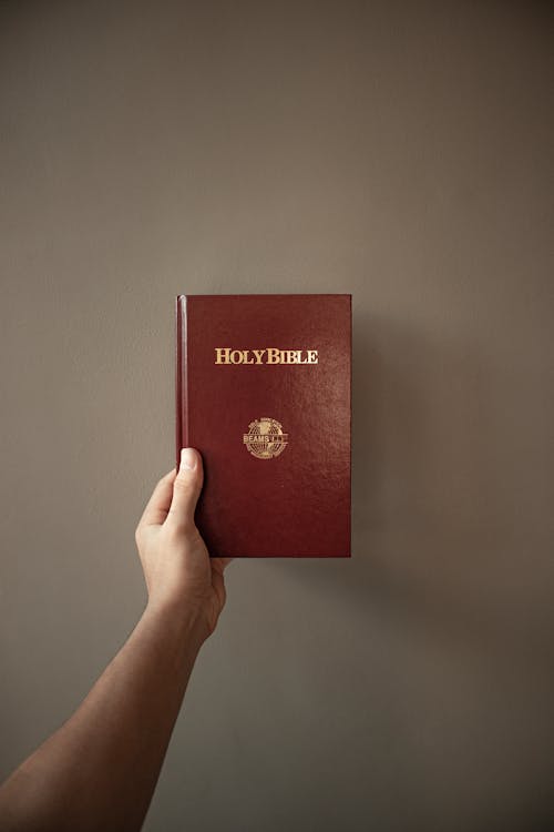 Free Person Holding a Bible Stock Photo