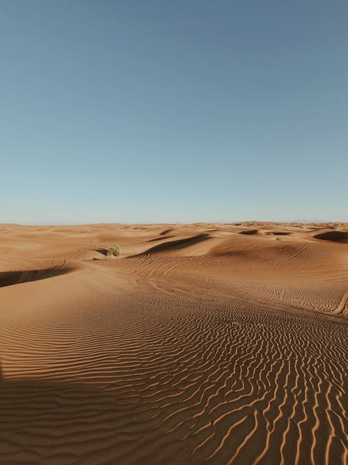 Foto stok gratis bukit pasir, di luar rumah, gersang
