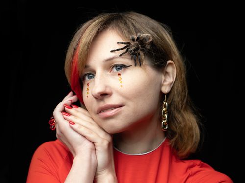Free Bizarre young female with big hairy spider on face in Halloween costume against black background Stock Photo