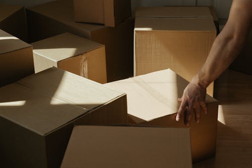 Person Holding Brown Cardboard Box