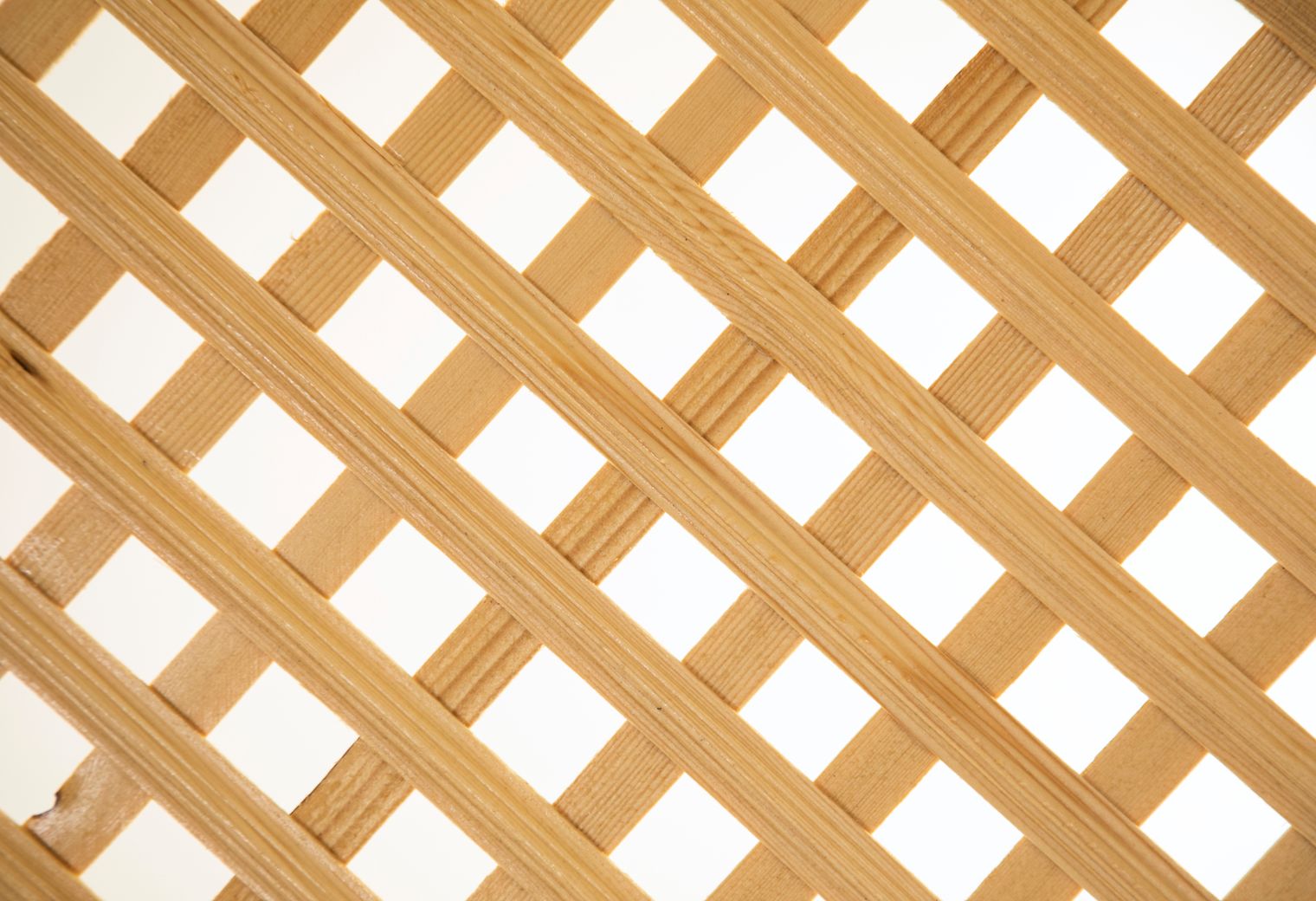 Fence and Decking Painting in Haggerston — clean edges cut in around trim and sockets