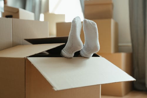 Gratis stockfoto met appartement, binnen, box