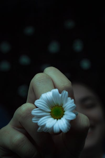 梦见家里地上有血是什么意思