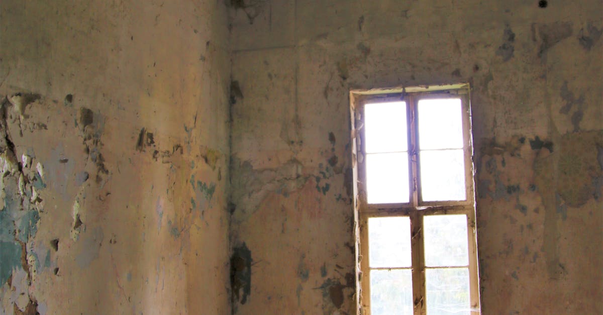 Chair placed in shabby destructed room in old house with damaged ceiling and walls in daytime