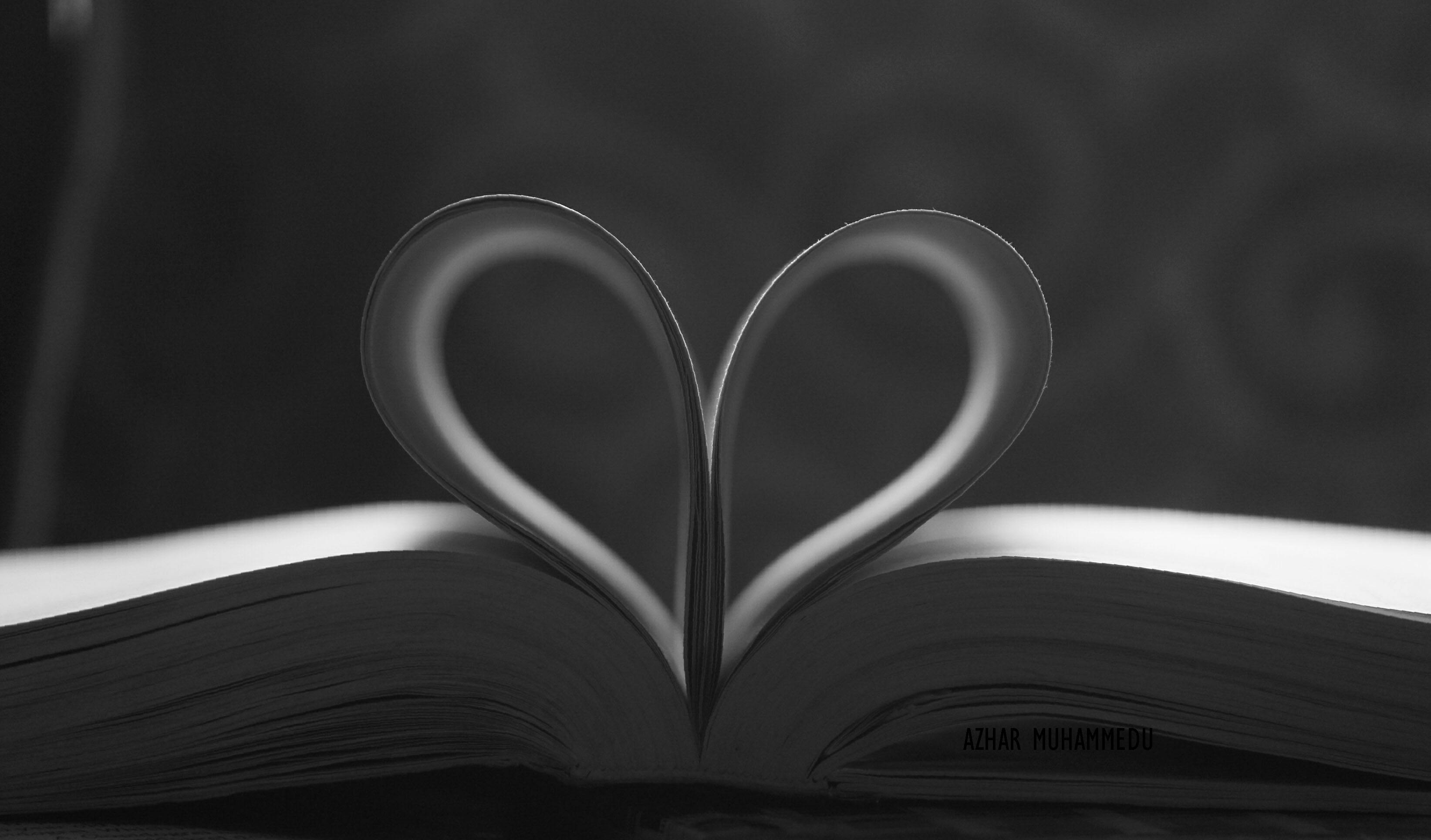 Kostenloses Foto zum Thema: liebe, love