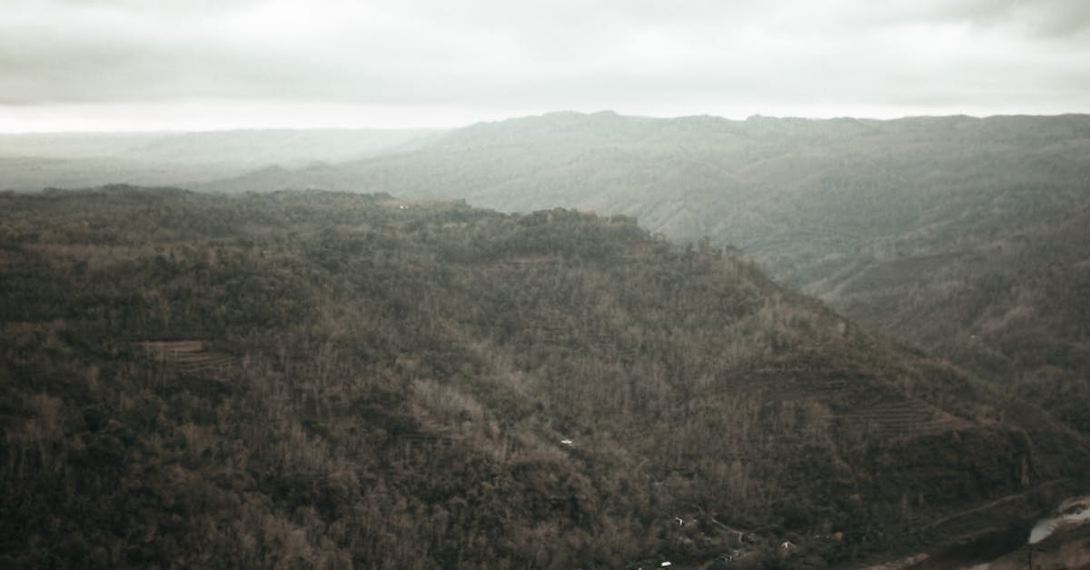 Picturesque landscape of calm river flowing through lush green trees growing in wild valley against cloudy sky